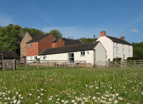 Barn Owl Lodge at Millfields Farm Cottages